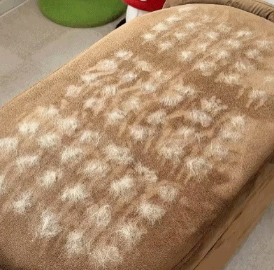 Kedi Tüy Toplama Eldiveni